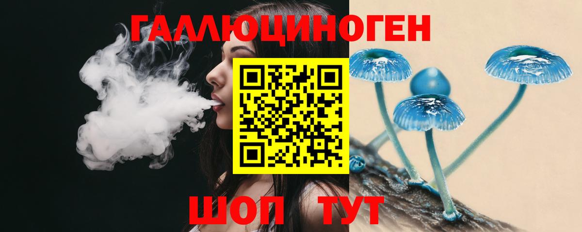 Псилоцибиновые грибы Psilocybine cubensis Кудрово